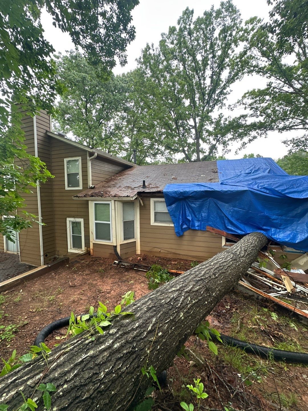 Fallen Tree Rebuild — Stonecrest